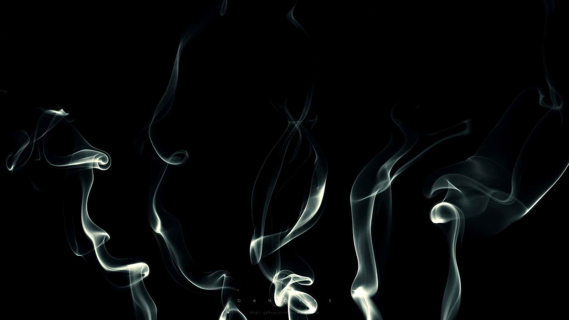 俏皮的煙霧觸手在嚴峻的黑色背景上優雅地旋轉。