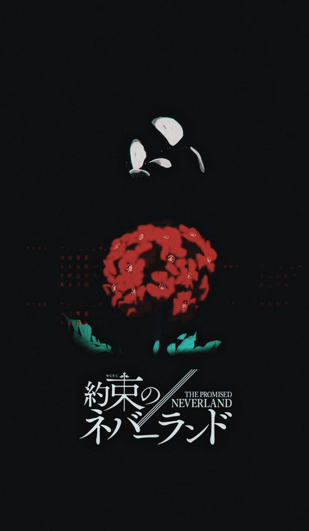 動漫海報，紅花白花瓣，日文英文文字，黑色背景
