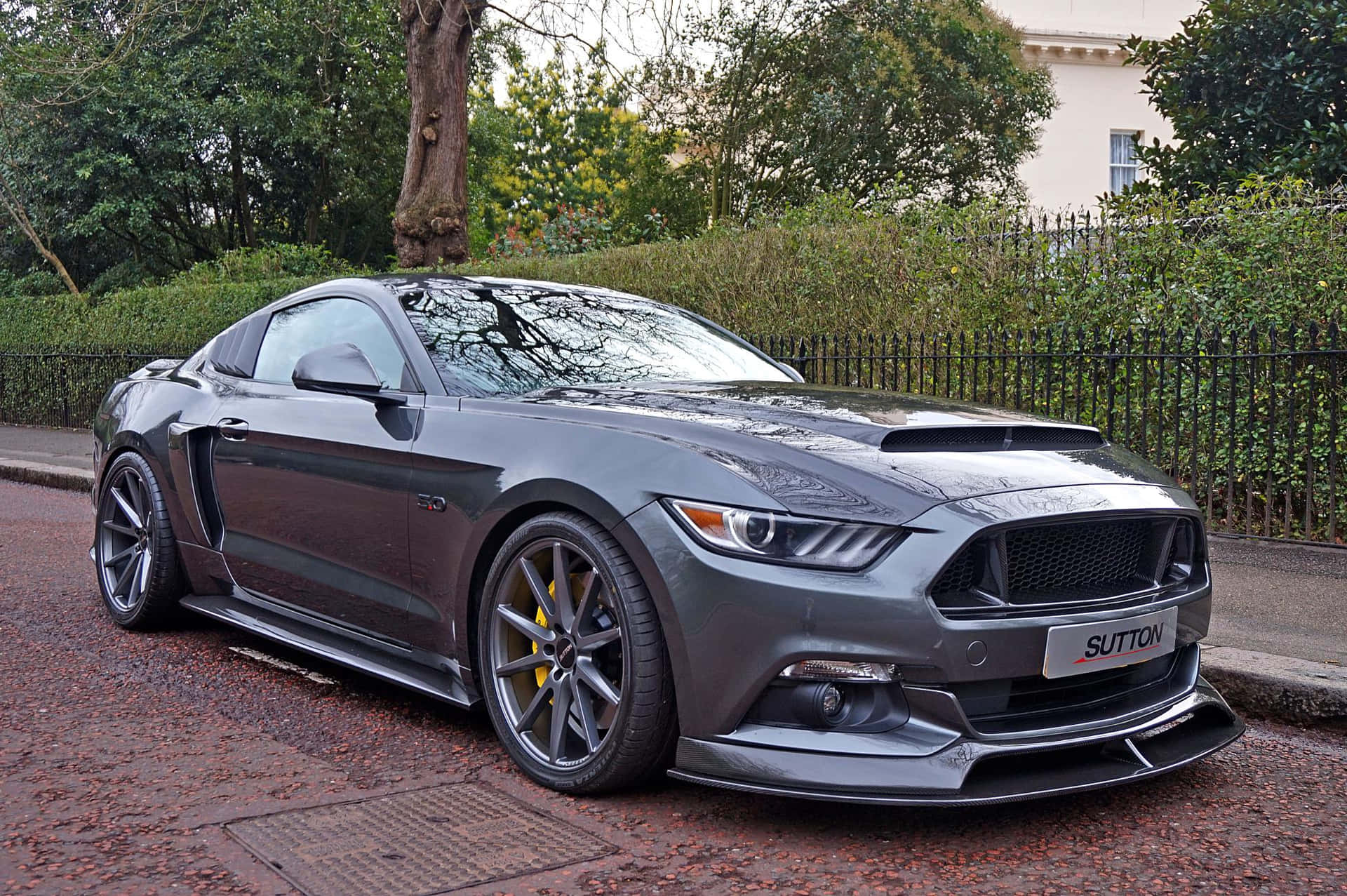 啞光灰色福特Mustang GT350R停泊在濕漉漉的鵝卵石街道上，配有綠色籬笆和黑色柵欄。