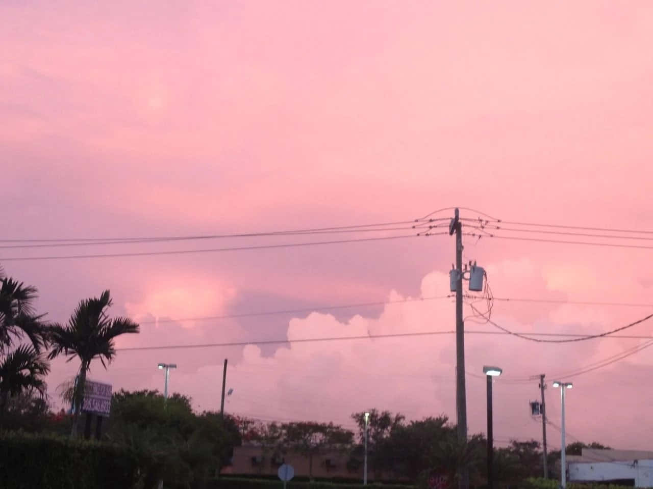 郊區中，電線桿和棕櫚樹上方有雲朵的粉紅色日落天空。