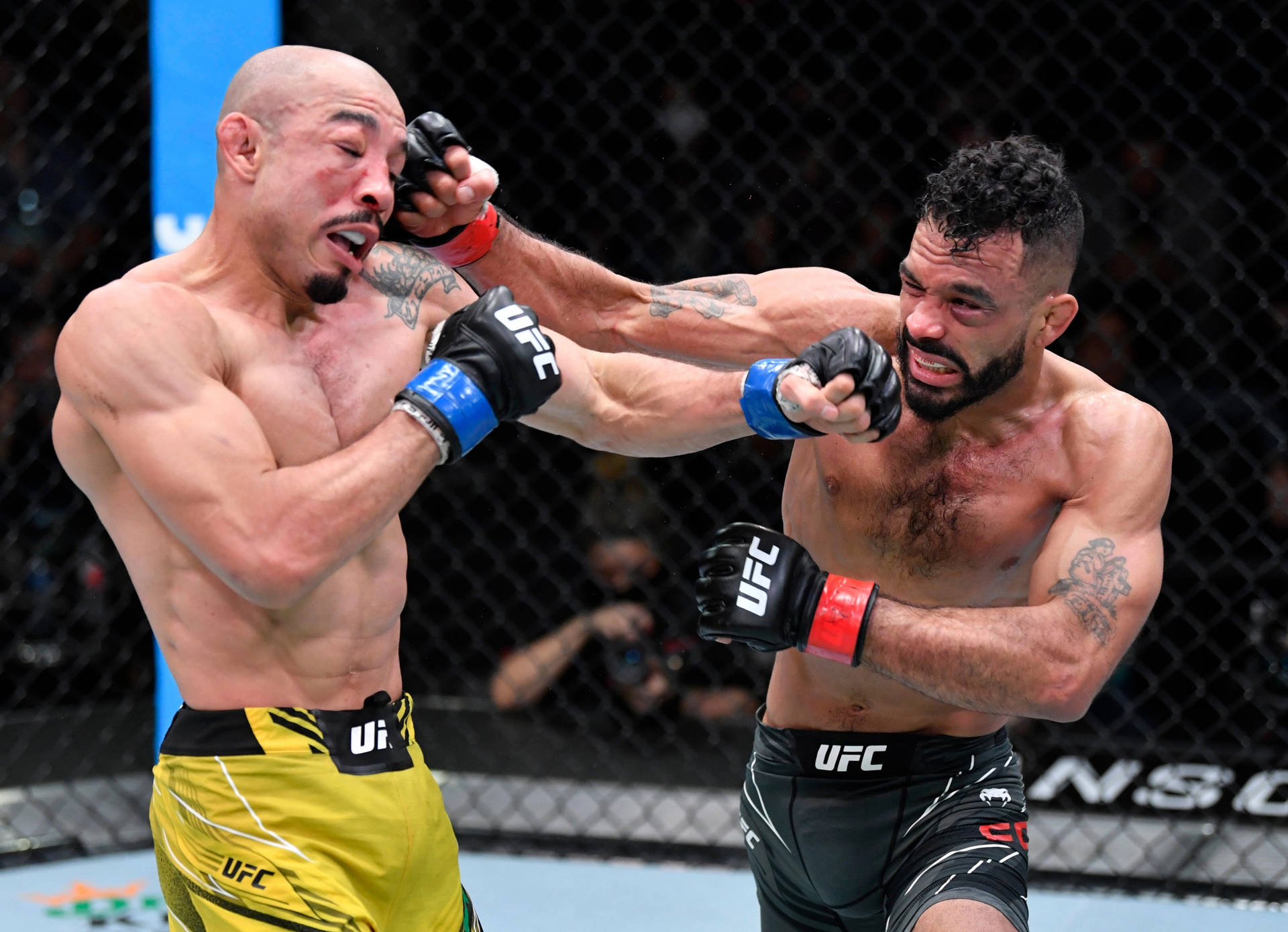 兩名男性MMA拳手在UFC八角鐵籠賽中互相出拳。
