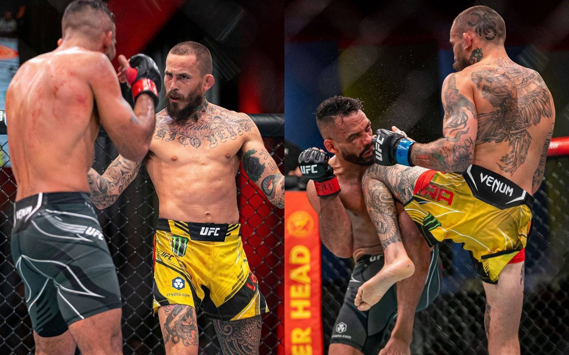 兩名男性MMA拳手在籠中，帶有紋身和UFC裝備，激烈打鬥。