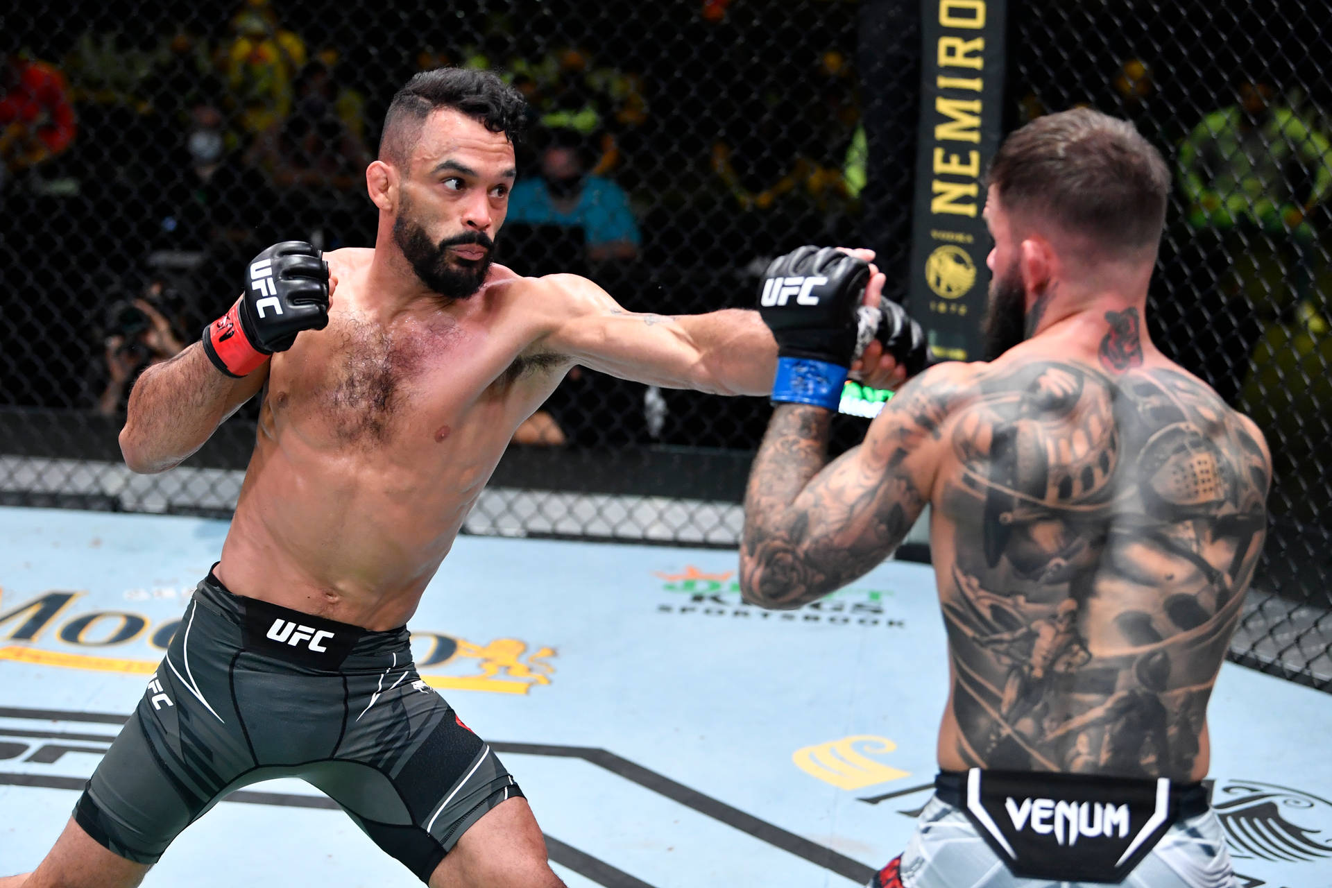 兩名男性MMA拳手在八角籠中進行比賽。