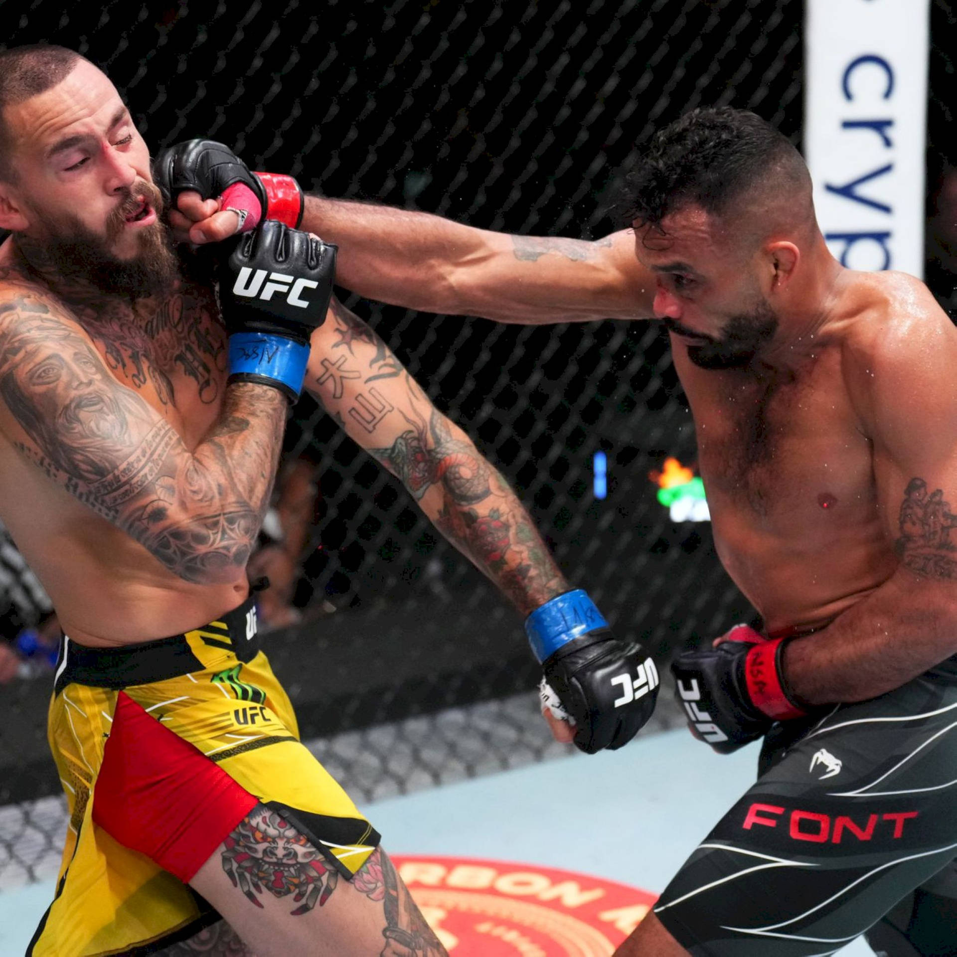 兩名男拳手在UFC八角鐵籠內互相出拳。
