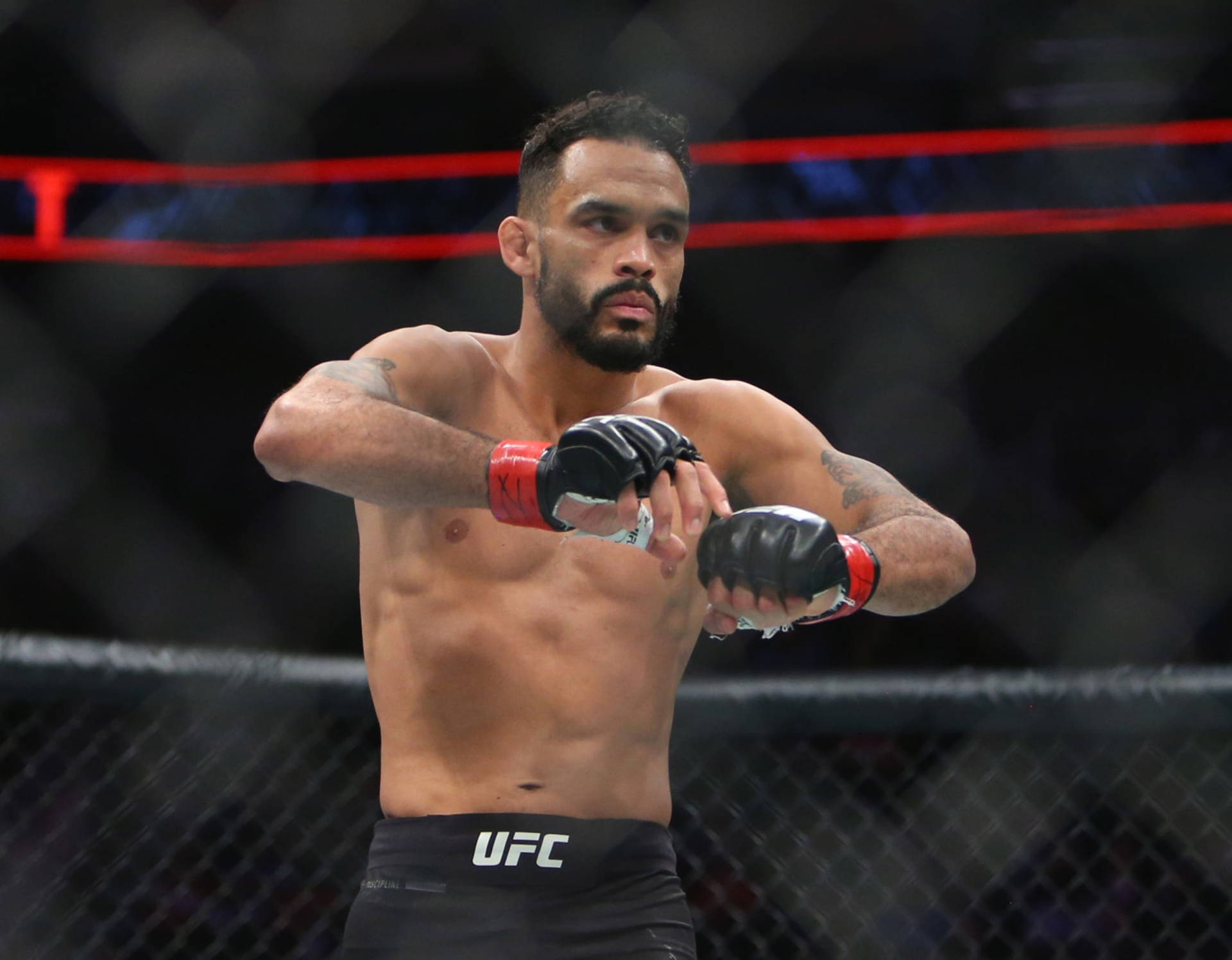 MMA選手在UFC八角籠中以專注的表情準備戰鬥。