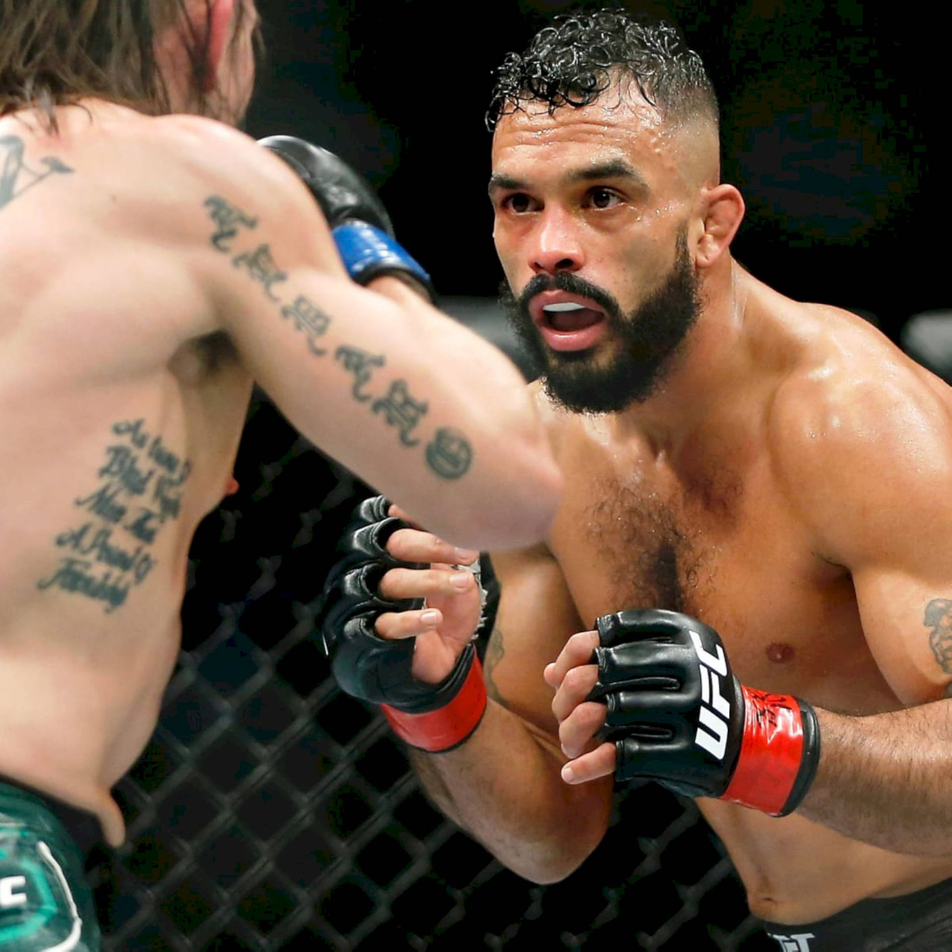 兩名男性MMA拳手在籠內進行近距離交鋒。
