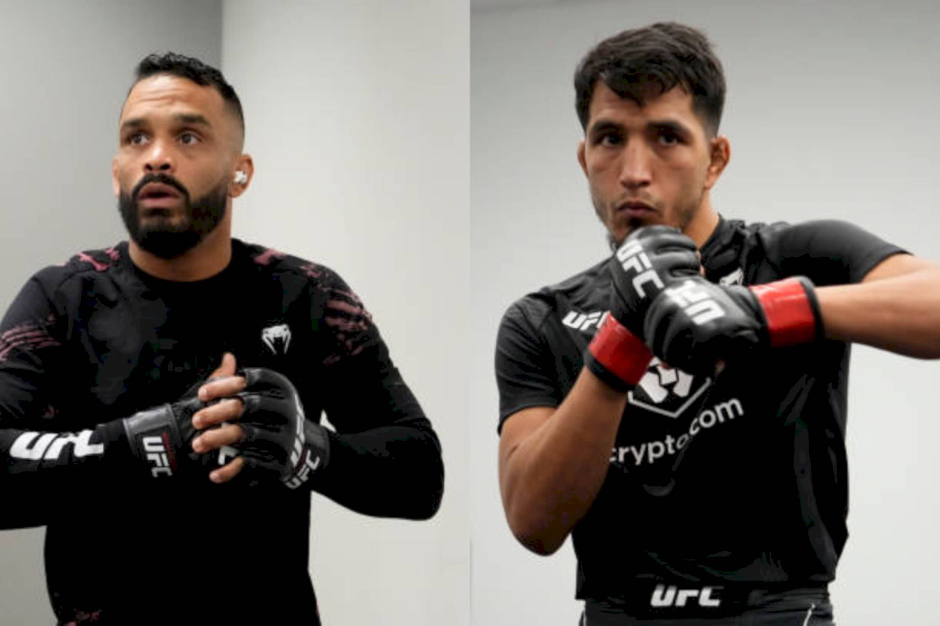兩名身穿UFC裝備的男性MMA拳手戴著手套擺姿勢。