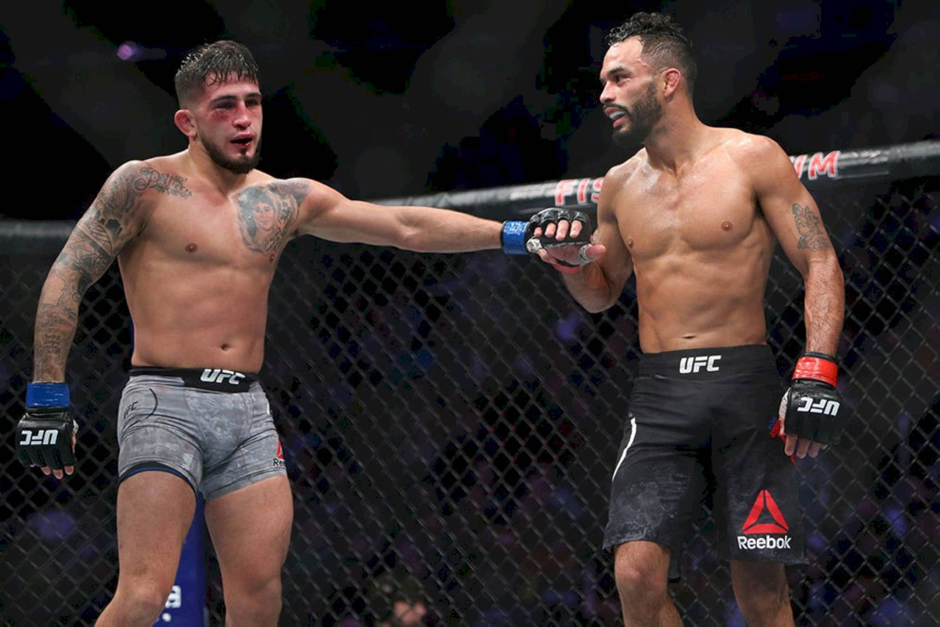 兩名男性MMA拳手在八角籠內賽後握手。