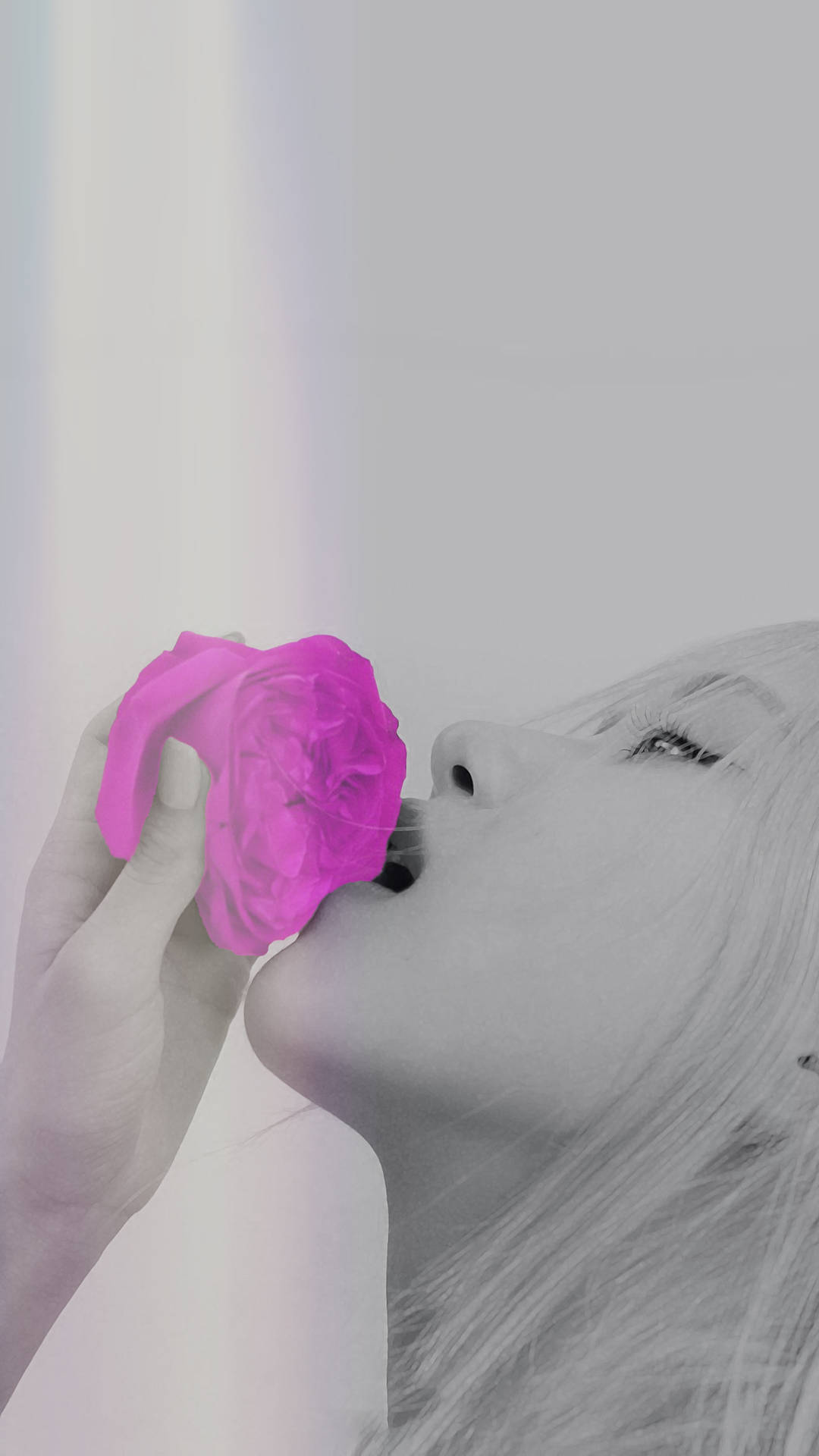 一位女士在單色肖像中親吻一朵亮粉紅玫瑰，背景柔和。
