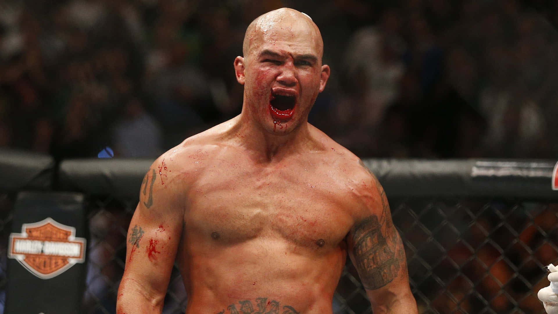 羅比·勞勒慶祝勝利 壁紙 — 一名血跡斑斑的光頭MMA拳手在八角籠內咆哮勝利，身後是模糊的人群。