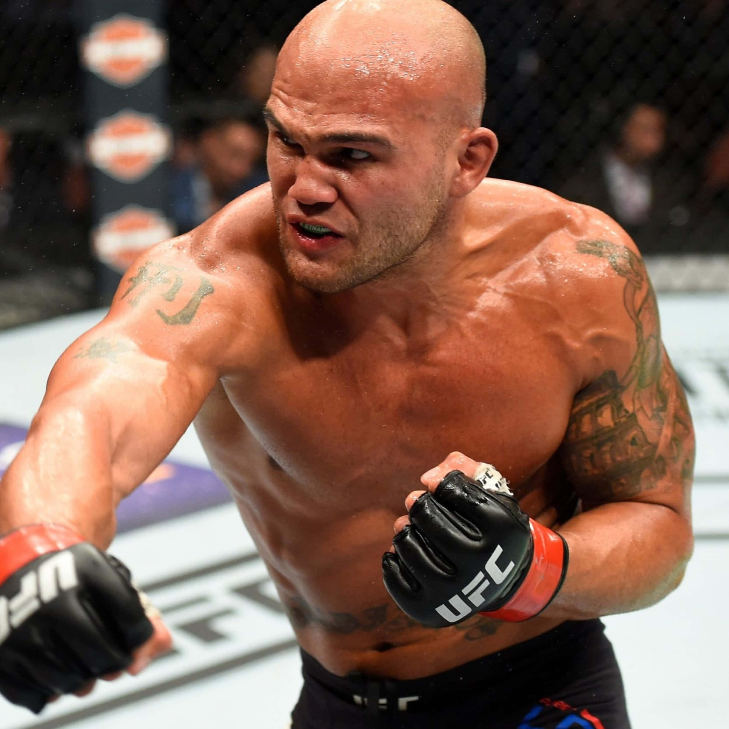 羅比·勞勒於UFC 214賽事中擊打唐納德·塞羅內 壁紙 — 一名肌肉發達的光頭拳手，身上有紋身並戴著UFC手套，在綜合格鬥比賽中於八角籠內向前猛衝。