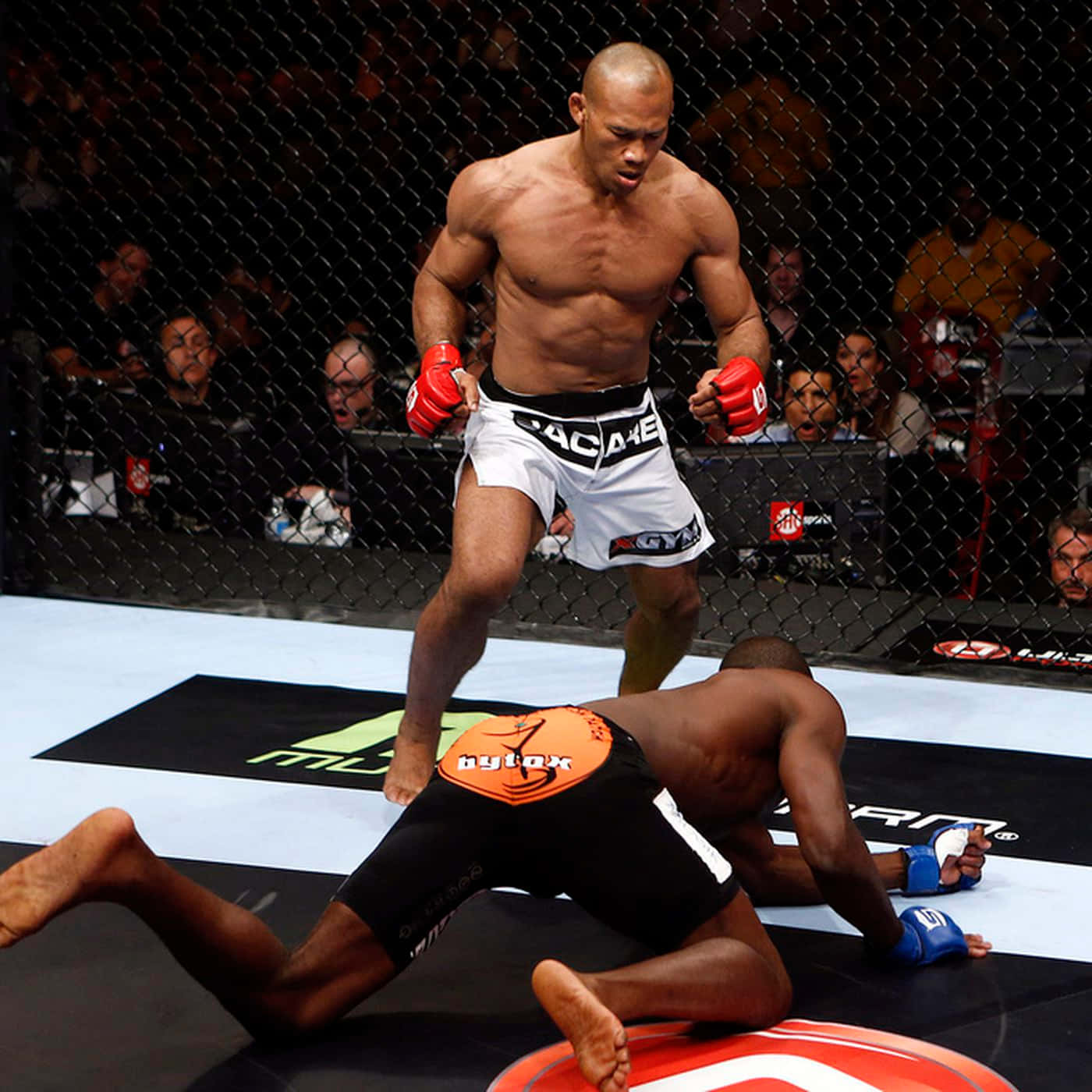 羅納爾多·蘇扎站立於Derek Brunson之上 壁紙 — 一位肌肉發達的MMA拳手身穿白色短褲，在籠內墊上擊敗對手，觀眾正在觀看。