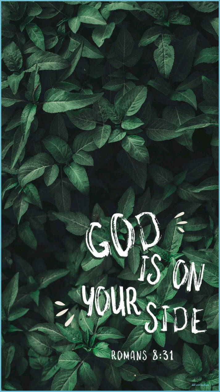 羅馬書 8:31 美學經文 壁紙 — 文字疊加顯示「GOD IS ON YOUR SIDE ROMANS 8:31」，以白色刷字體呈現，背景為濃密的深綠色樹葉。