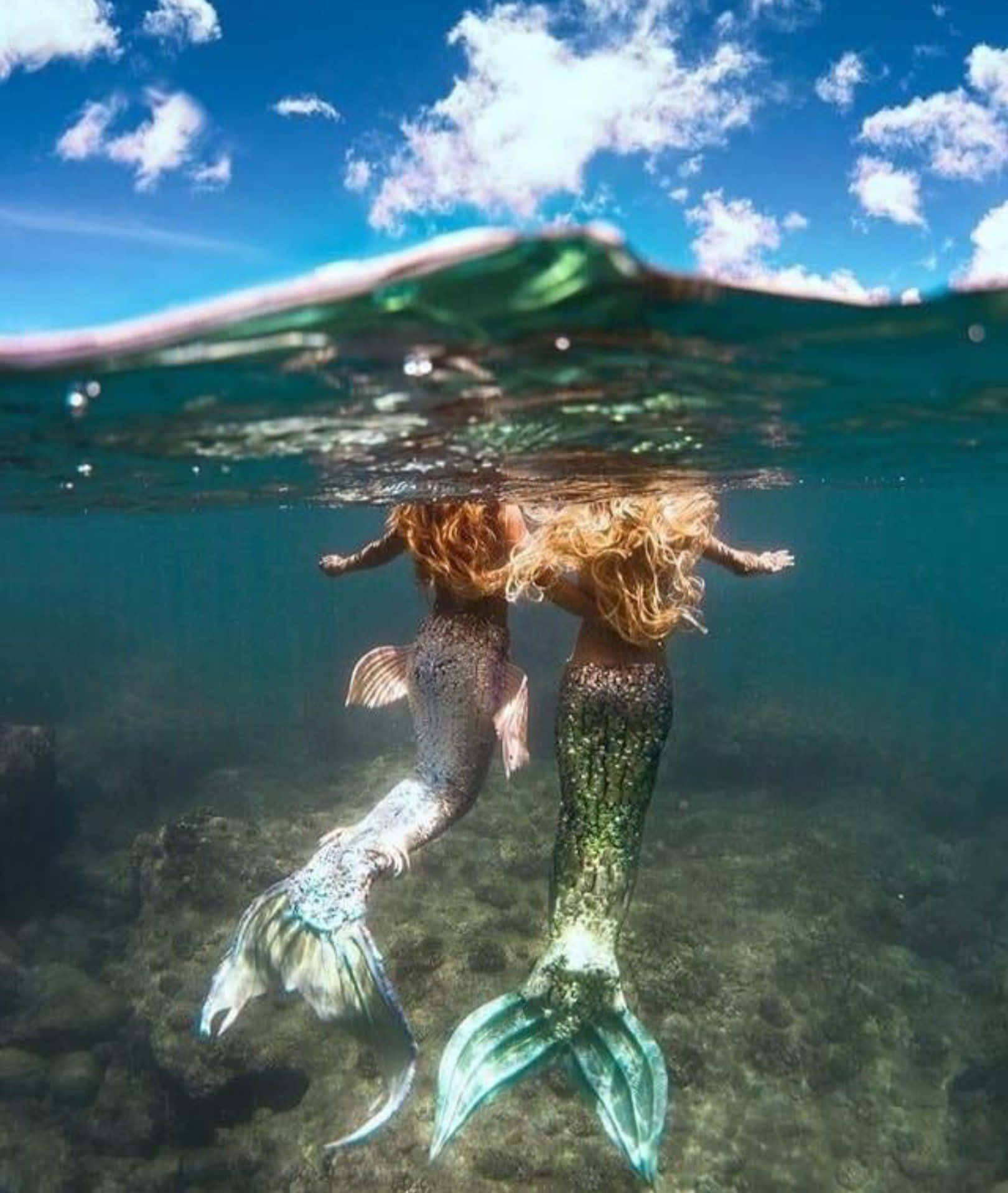 兩位紅髮美人魚在陽光普照的海底附近游泳。