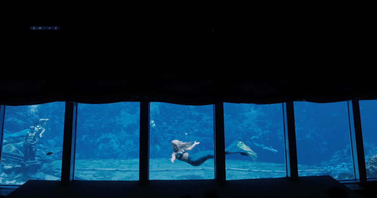 從黑暗的房間看到一名潛水員在大型水族箱中游泳。