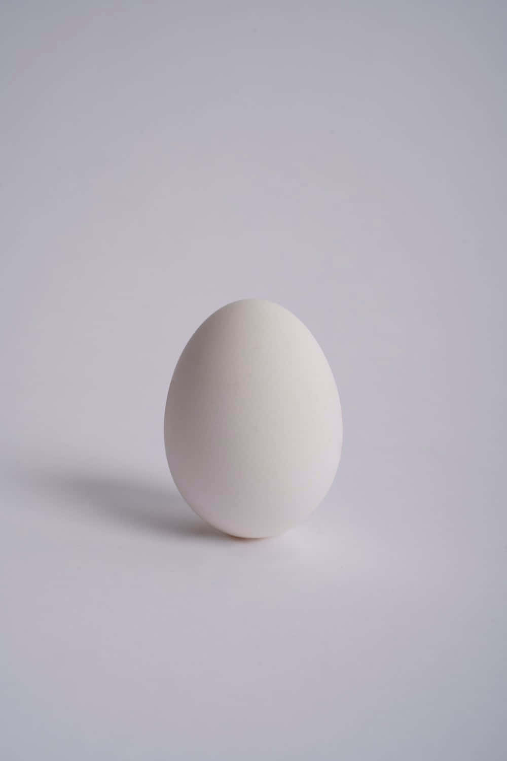 美味蛋早餐 壁紙 — 一個光滑的白雞蛋在均勻的攝影棚燈光下，居中放置在柔軟的灰色表面上。