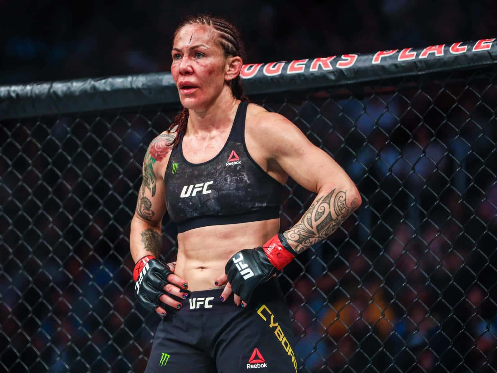 美國MMA選手克莉絲·西伯格於UFC 240賽事 壁紙 — 一位有紋身和額頭上有傷口的女MMA拳手在殘酷比賽後筋疲力盡地站在八角籠中。