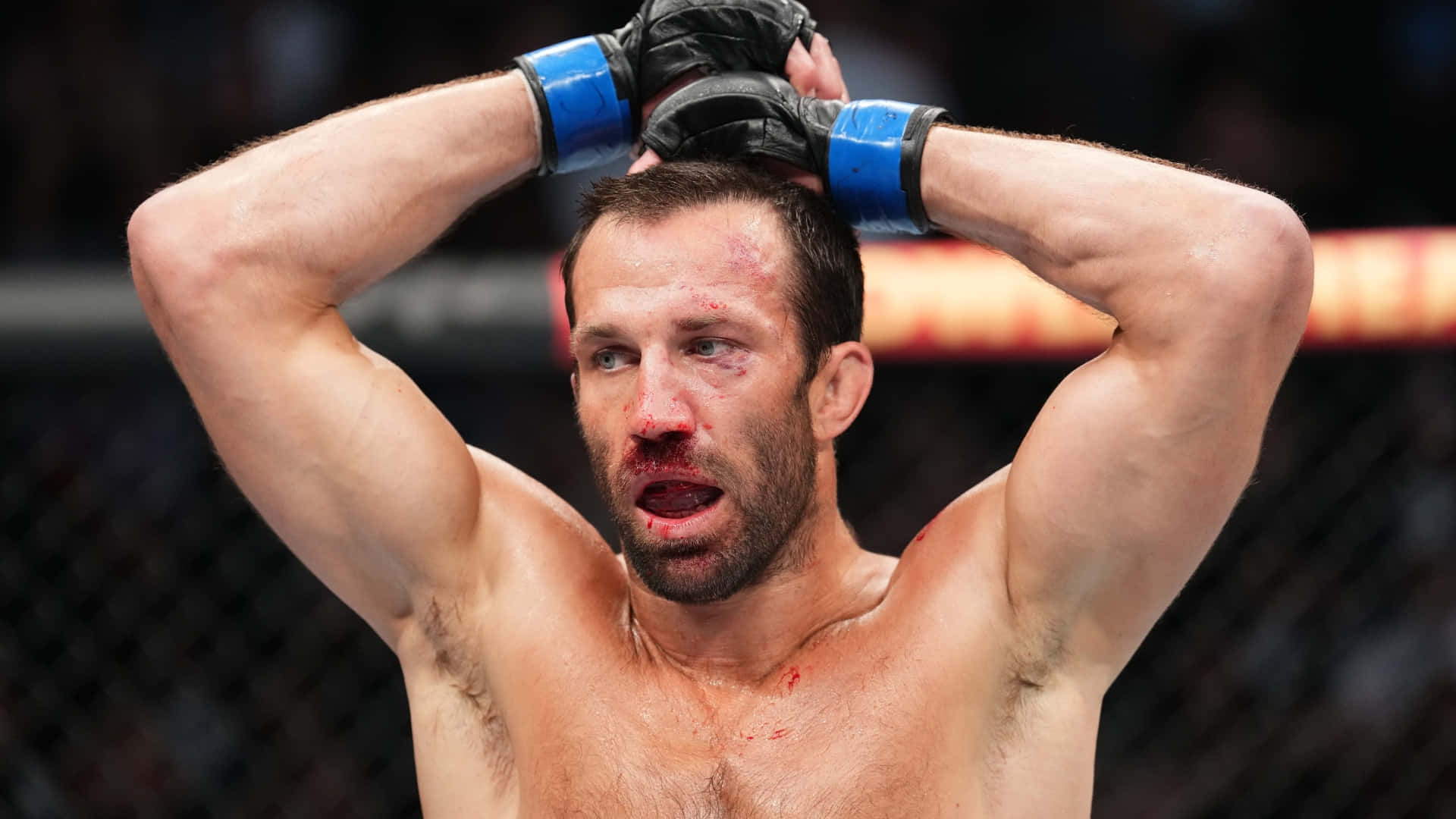 美國MMA選手盧克·羅克霍德2022賽後照片 壁紙 — 一名滿身鮮血的MMA拳手在八角籠內疲憊地高舉雙臂。
