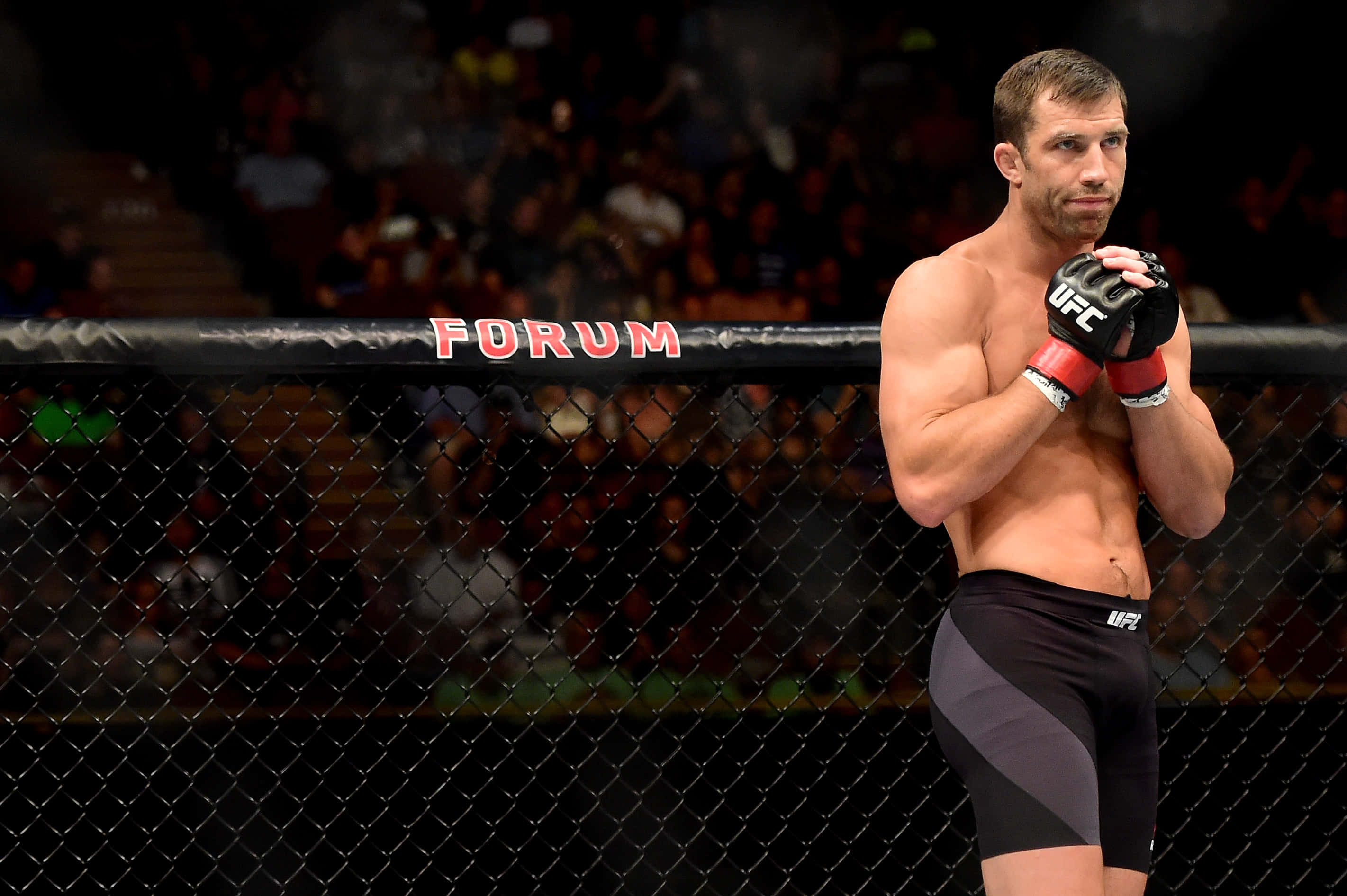 美國MMA選手盧克·羅克霍德UFC 199賽事 壁紙 — 一位肌肉發達的戰士穿著黑色短褲和手套，站在帶有 'FORUM' 標誌的 UFC 八角籠內，雙臂交叉，在競技場燈光下。