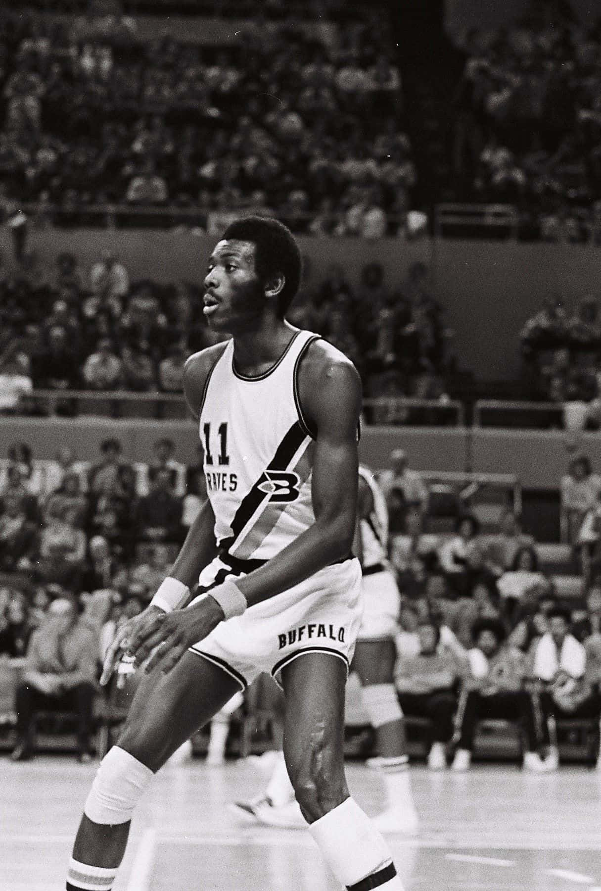 美國NBA傳奇球星鮑勃·麥卡杜黑白賽場肖像 壁紙 — 一張黑白照片，一名穿著水牛城隊服的籃球運動員在比賽中專注，背景有觀眾。