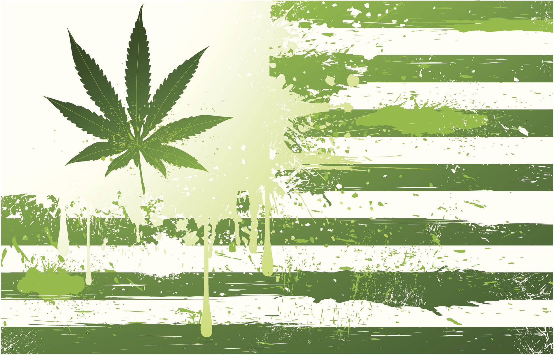 大麻葉在髒污的美國國旗上滴下綠色油漆。
