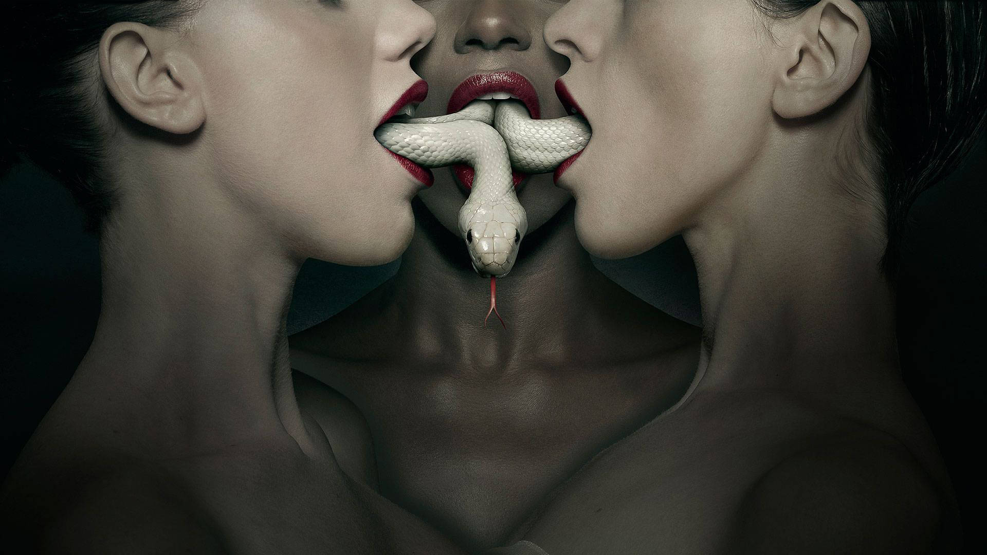 三位紅唇女性共享一條從中央嘴巴出現的白蛇。