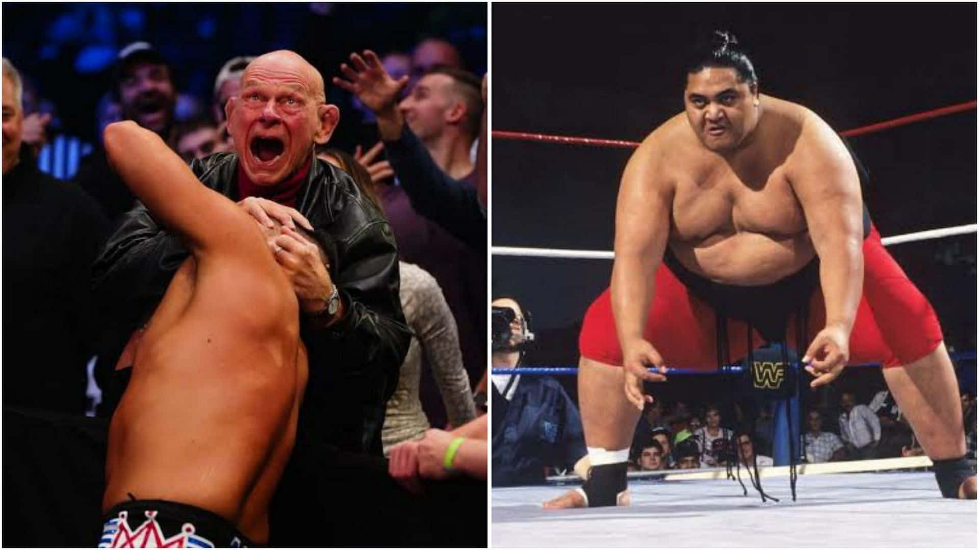 美國摔角手巴倫·馮·拉斯克與 yokozuna 合照 壁紙 — 一個光頭摔角手穿著黑色外套，抓住一個赤裸上身的對手尖叫，旁邊有一個穿著紅色短褲的巨大相撲手站在摔角場上。