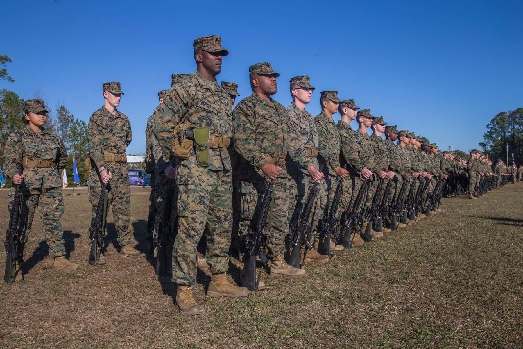 一列身穿制服的海軍陸戰隊員在戶外草地上持步槍。