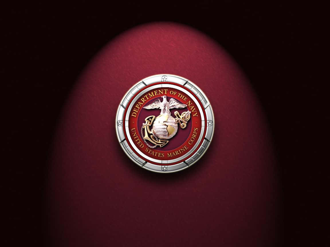 海軍陸戰隊徽章在紅色紋理表面上被照亮。