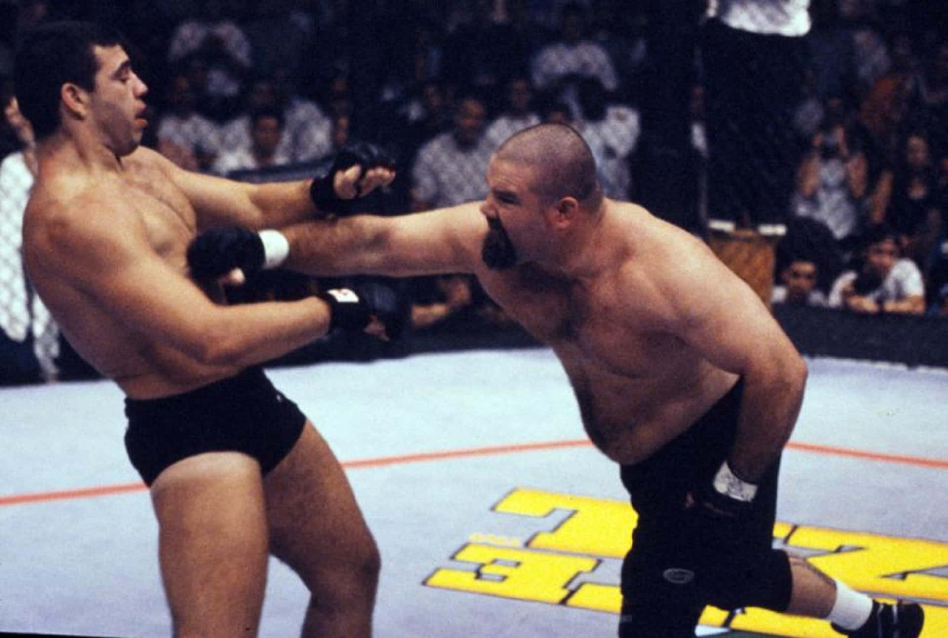 美國綜合格鬥選手 David Abbott 擊打 Pedro Rizzo 壁紙 — 兩名肌肉發達的拳手在籠中對決，其中一人向對手面部打出強力一拳。