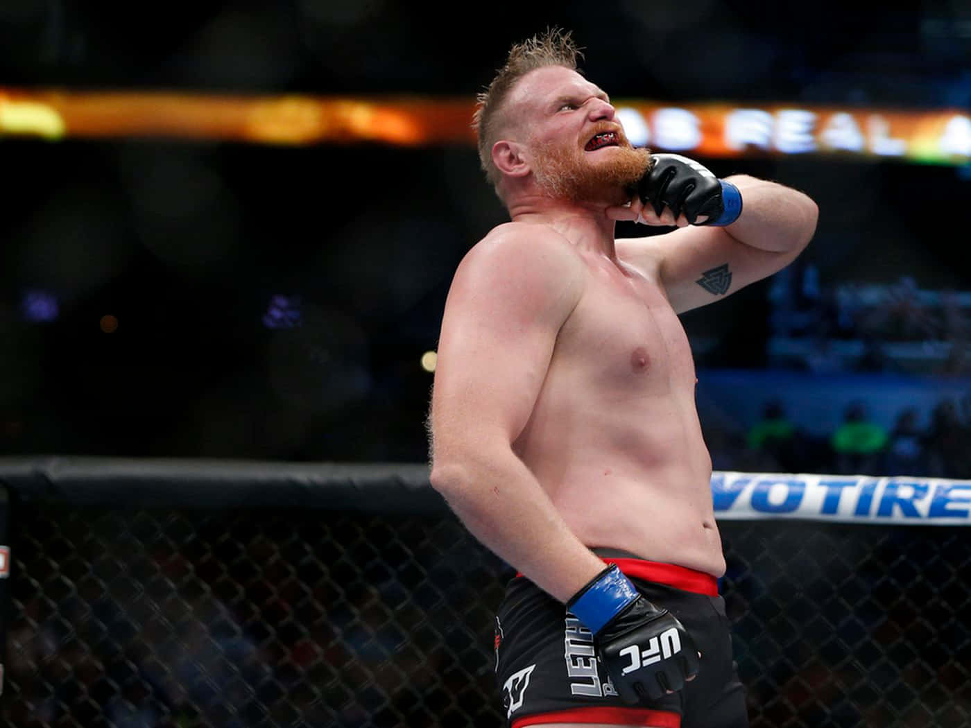 留鬍子的MMA拳手在UFC賽事的籠內慶祝勝利。