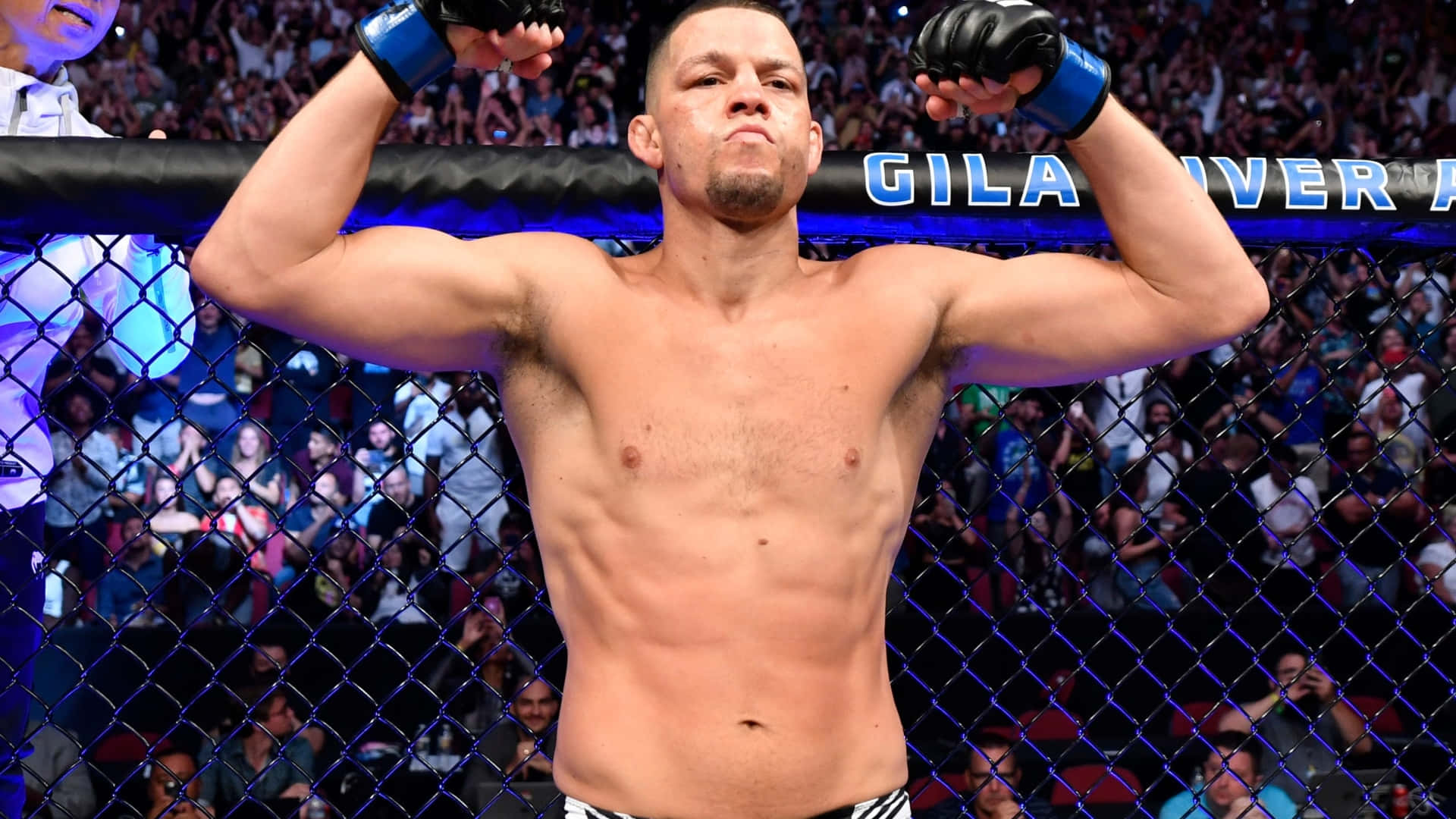 MMA拳手在八角籠內舉起拳頭慶祝勝利，周圍有歡呼的人群。