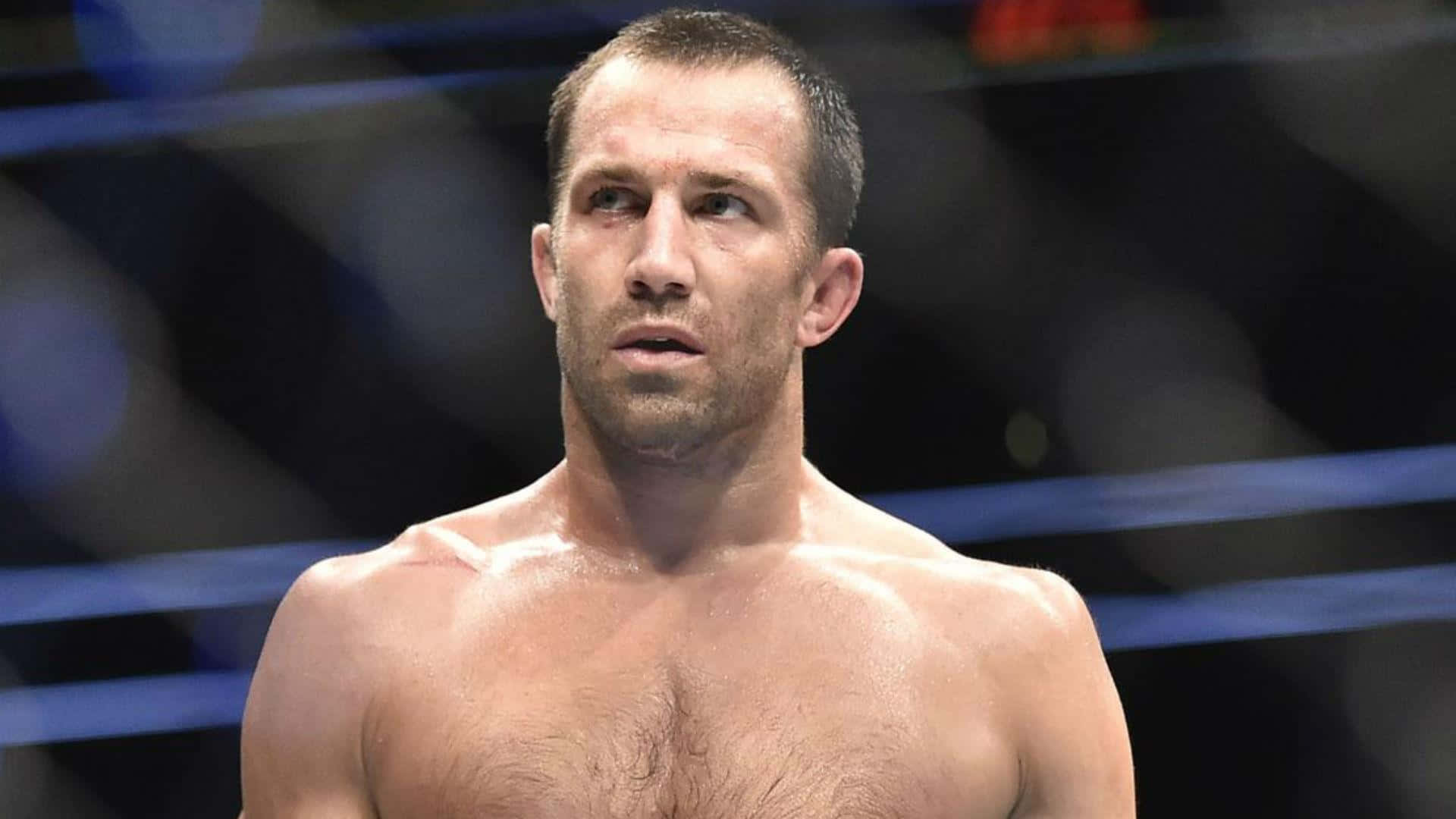 美國綜合格鬥選手盧克·羅克霍德中近距離特寫 壁紙 — 一個汗流浹背的肌肉發達拳手在明亮的場館燈光下，帶著專注的強度站在拳擊台上。