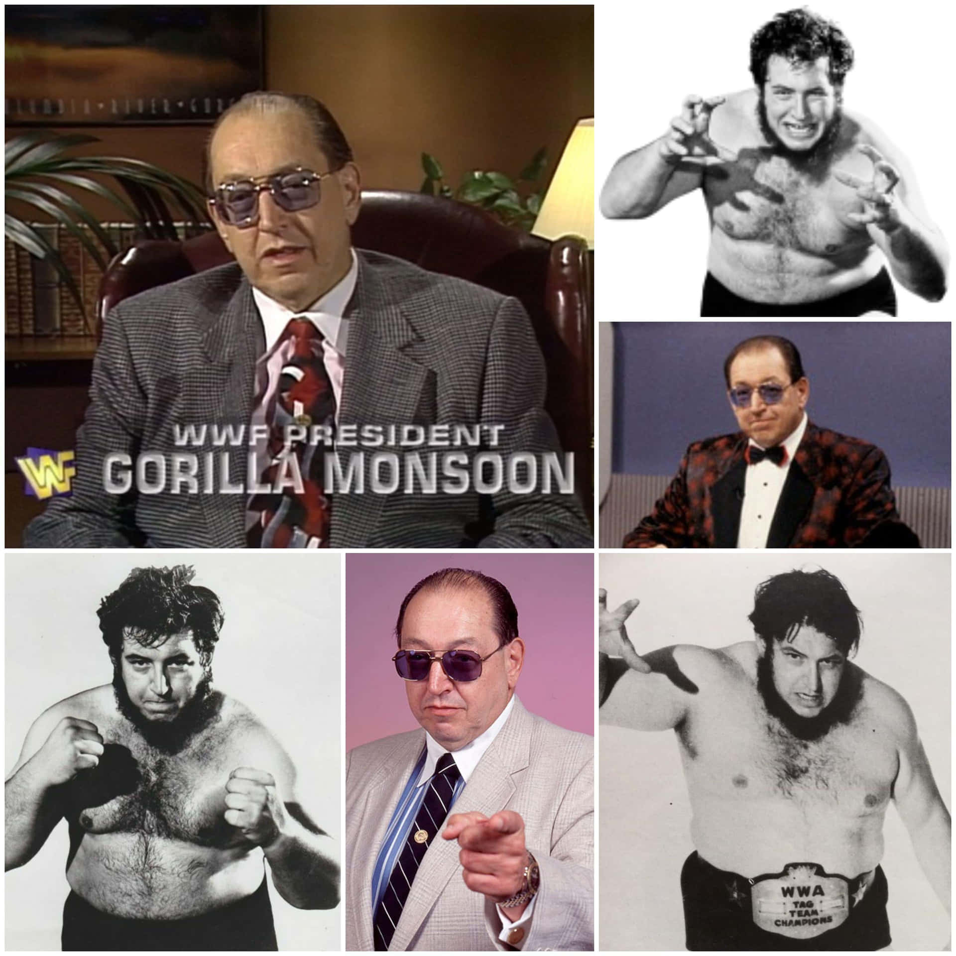 Gorilla Monsoon 以各種摔角姿勢和正式服裝亮相，包括太陽眼鏡和冠軍腰帶。