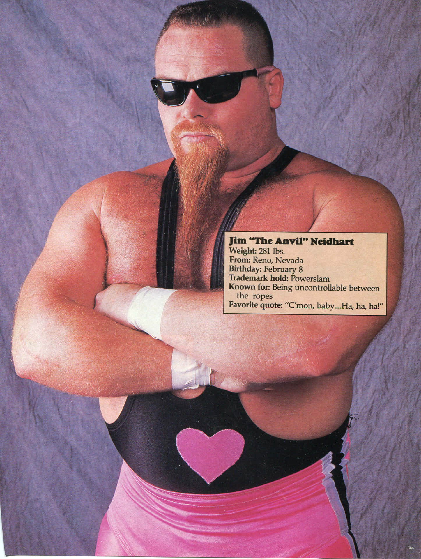 美國職業摔角手Jim Neidhart 壁紙 — 一位肌肉發達的摔角手，留著長長的橙色鬍鬚，戴著太陽眼鏡，穿著黑色和粉紅色的服裝，在紫色背景前自信地擺姿勢。