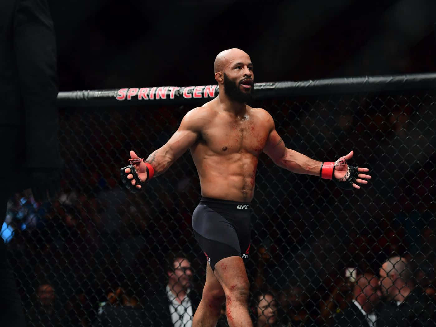 一名勝利的MMA戰士在八角籠內伸展雙臂慶祝。