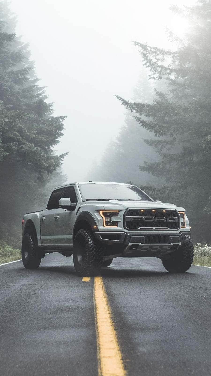 銀色福特 F-150 Raptor 貨車在霧氣瀰漫的森林道路上，兩旁有松樹。