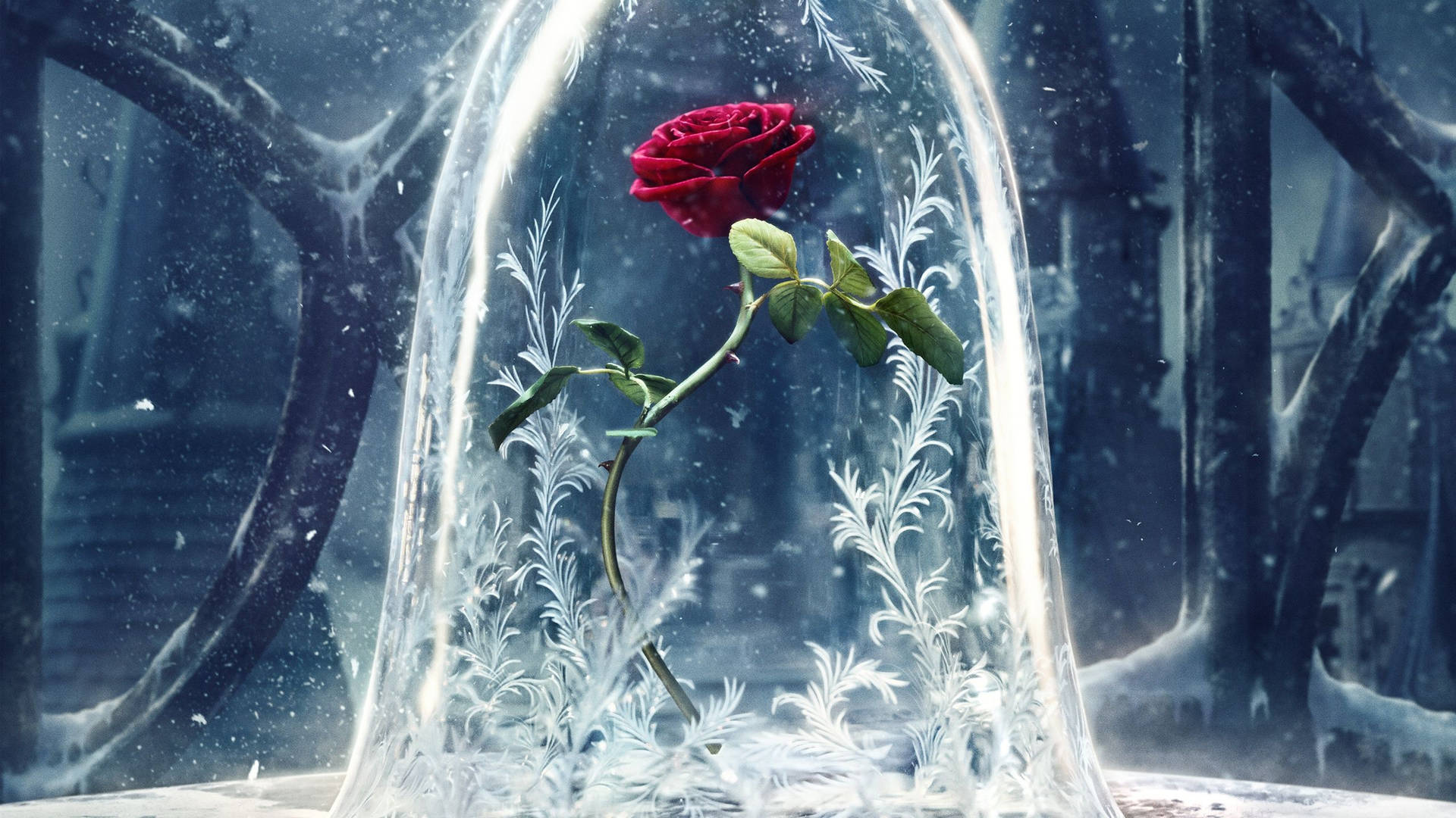 在白雪皚皚的哥德式場景中，一朵紅玫瑰在結霜的玻璃圓頂下。
