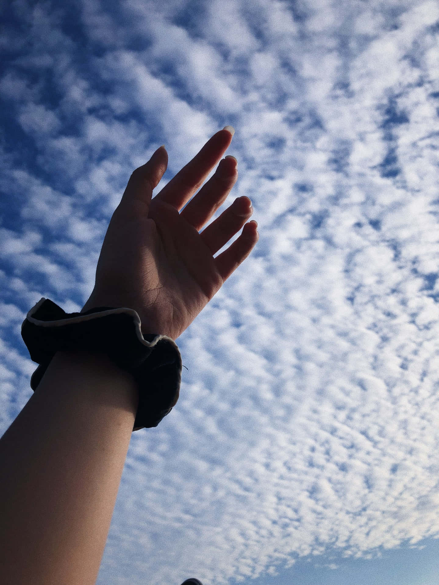 美學 Instagram 手與天空 壁紙 — 一隻手向上伸向充滿細膩白雲的天空，背景是鮮豔的藍色。