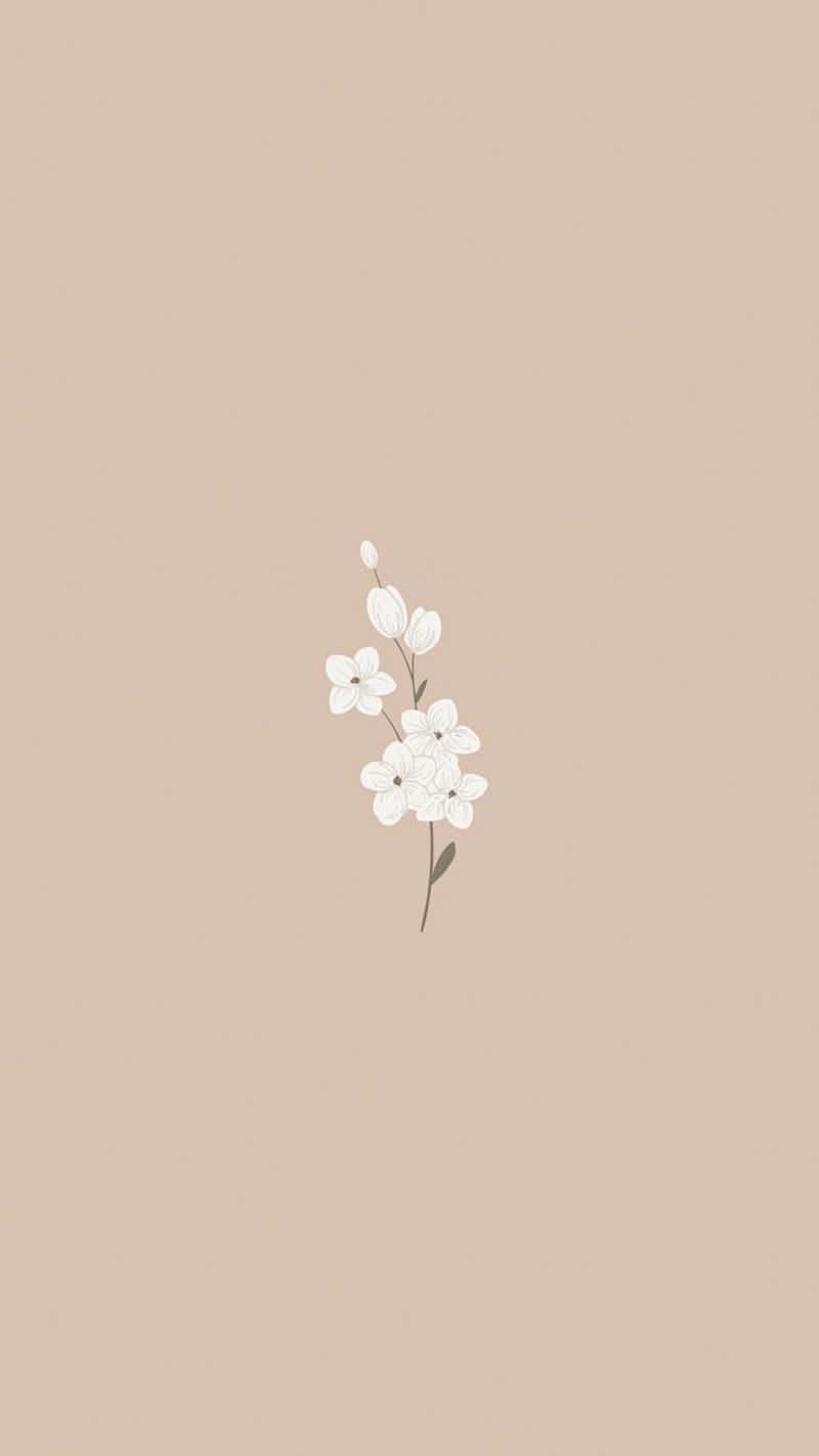 美學 iPhone 背景