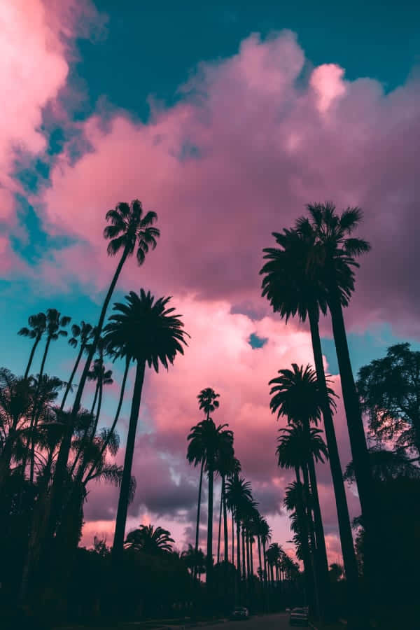 美學iPhone背景 壁紙