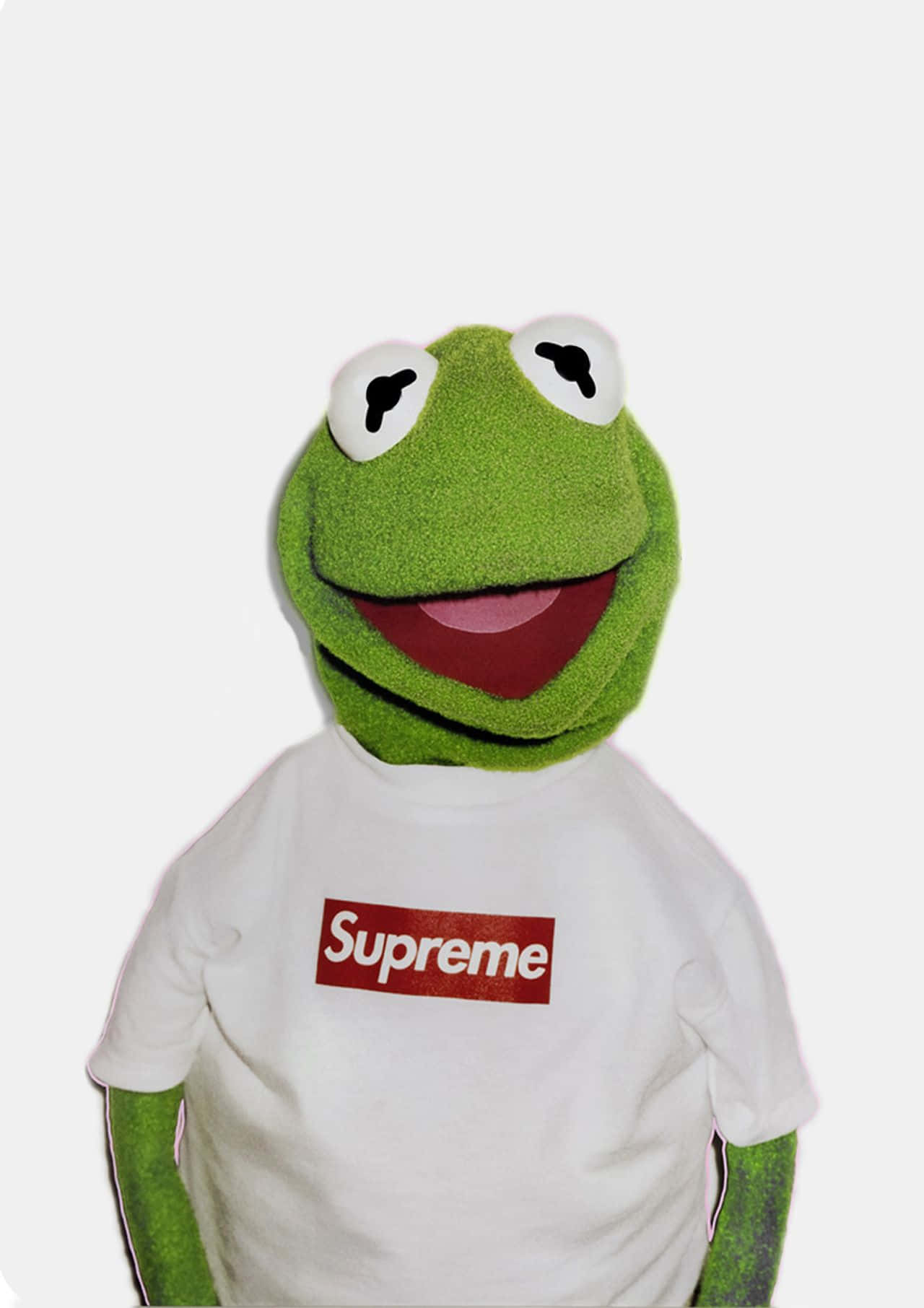 綠色Kermit the Frog木偶，著住白色Supreme T恤。