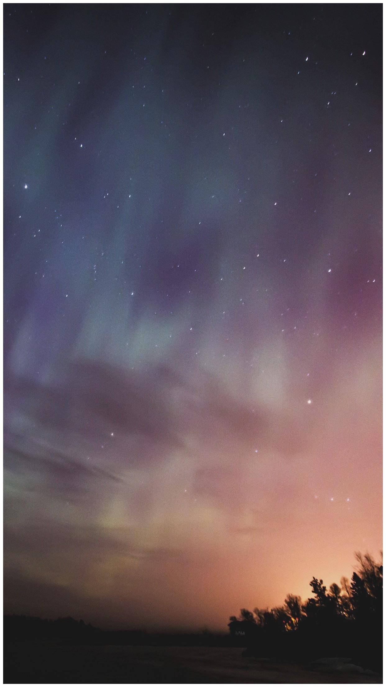 美學Tumblr 北極光 壁紙 — 一道充滿活力的極光在繁星點點的夜空中舞動，映襯著剪影般的樹林，帶有柔和的粉紅色和紫色調。