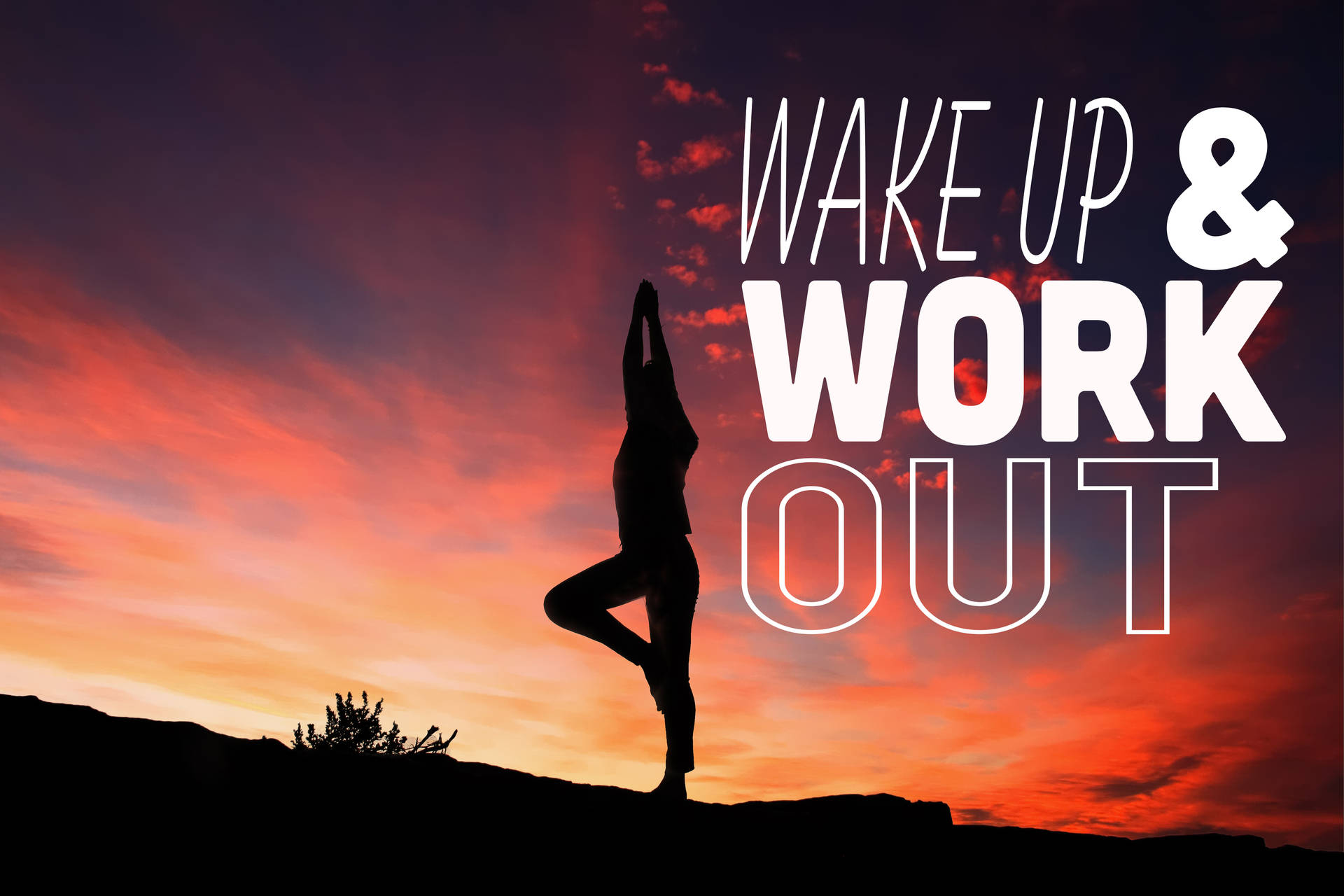 日出時練習瑜伽的人，文字 wake up & work out