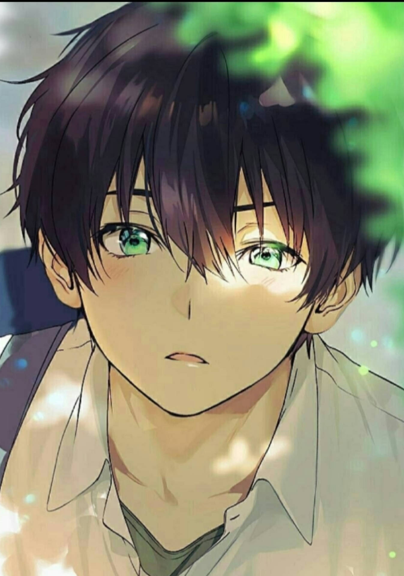 動漫男孩，綠色眼睛和深色頭髮，在柔和發光的光線中。