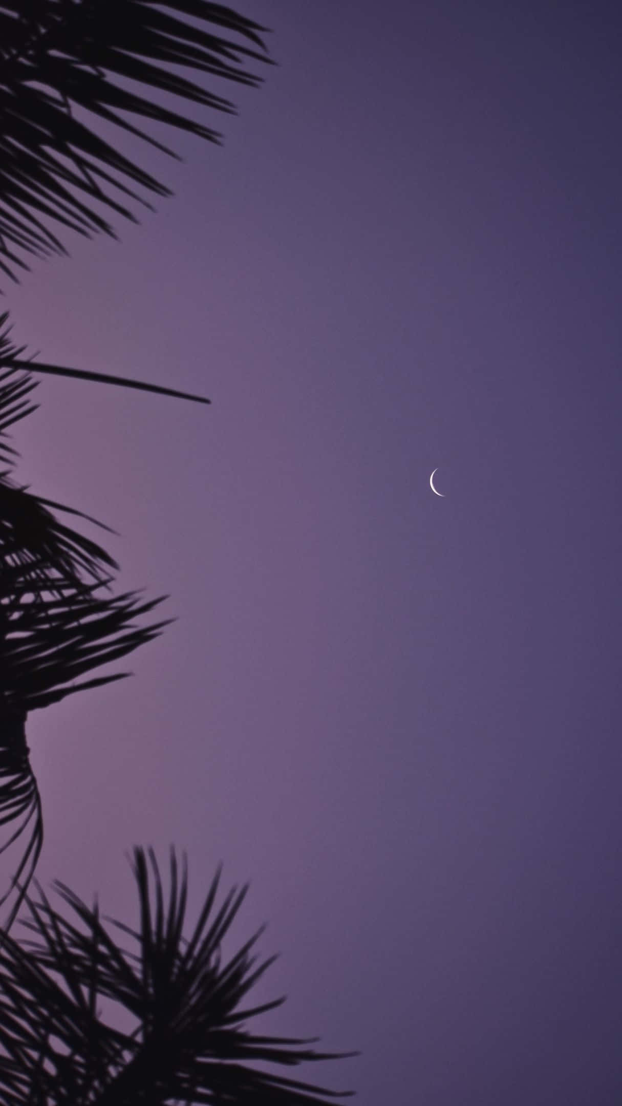美學天空背景 壁紙