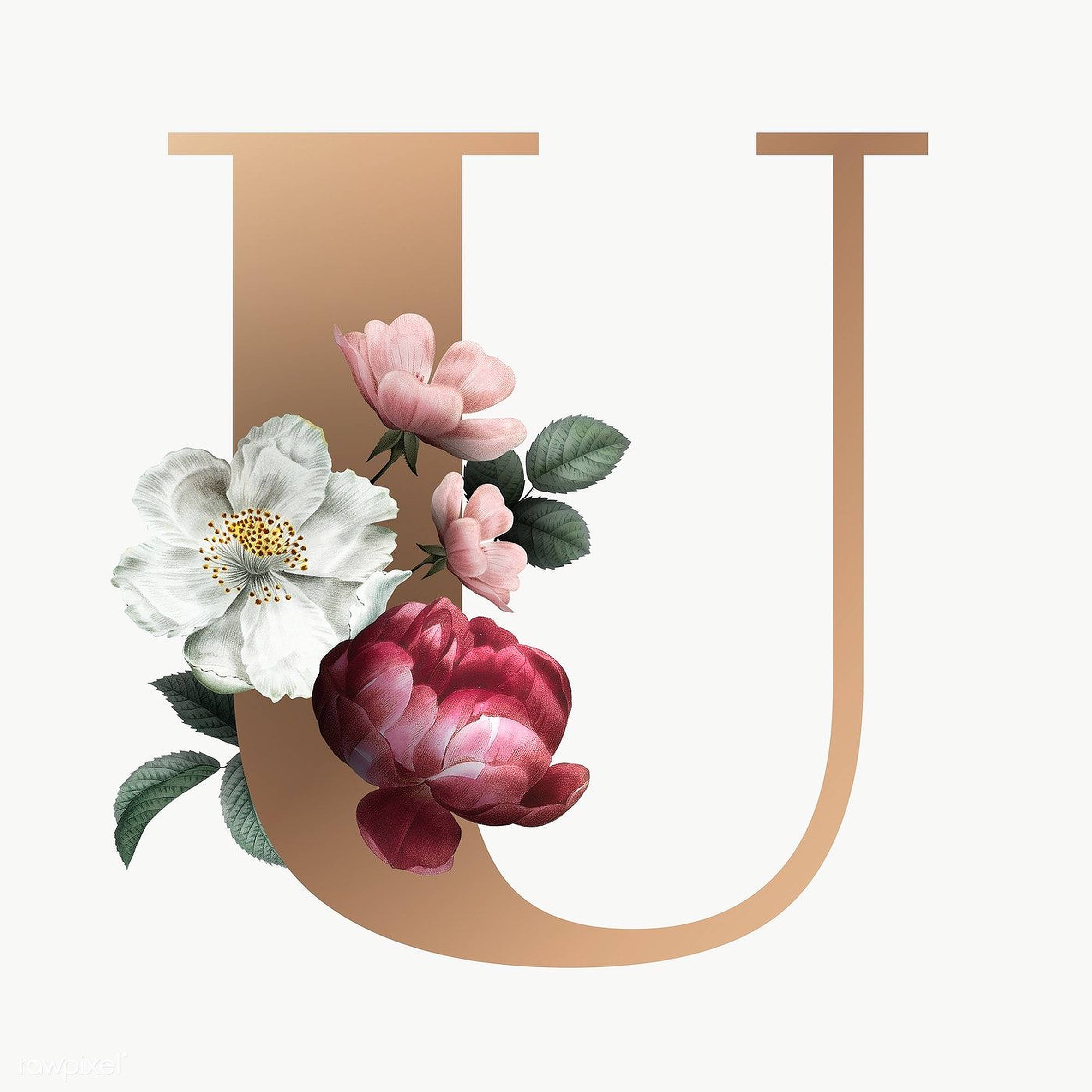美學字母U 壁紙 — 一個玫瑰金色字母U，點綴著精緻的粉紅色、白色和深紅色花朵以及綠色葉子，背景是柔和的奶油色。