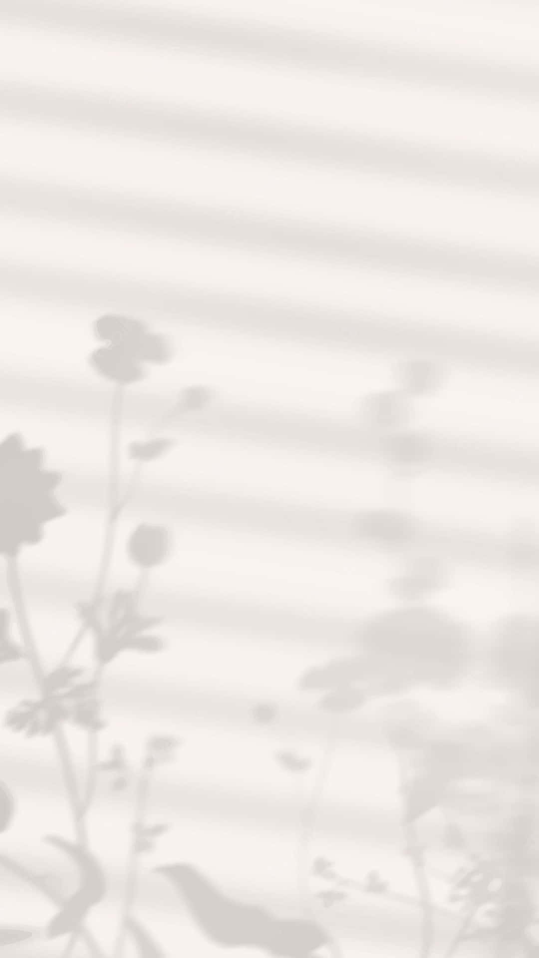 美學植物陰影圖像 壁紙 — 柔和嘅單色樹葉陰影，由水平百葉窗投射喺明亮嘅牆上。