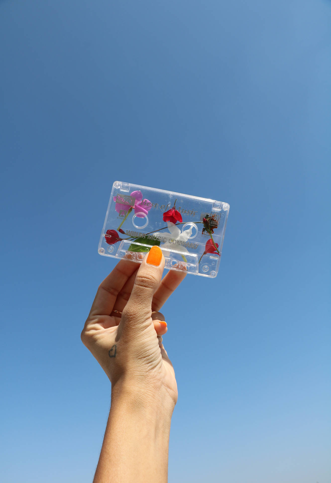 手拿著一個透明的卡式錄音帶，裡面有花，背景是藍天。