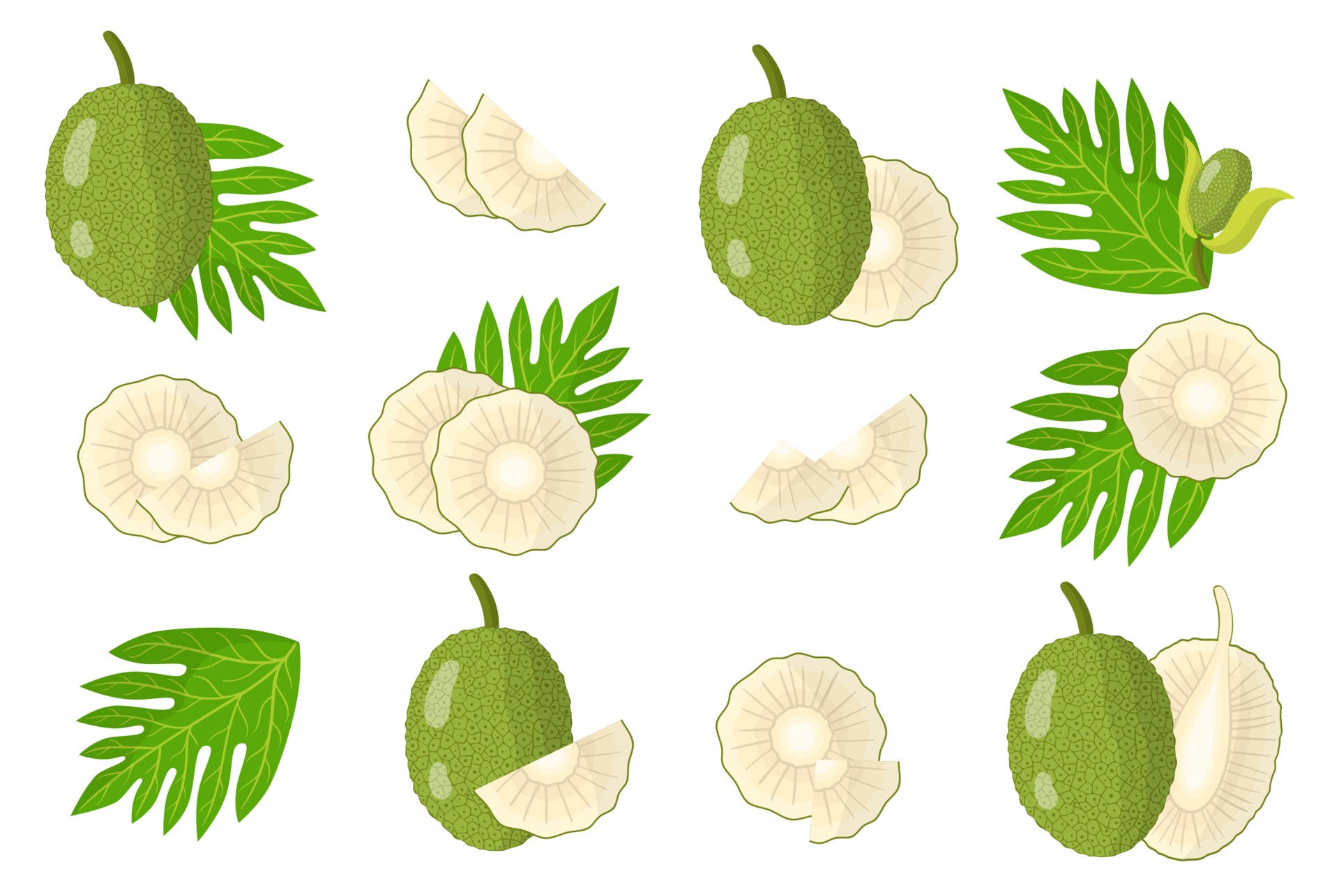 白色背景上嘅菠蘿蜜完整同切片連熱帶葉子插圖。